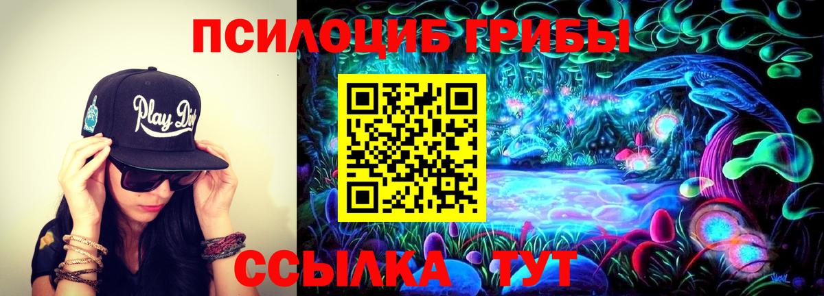 Псилоцибиновые грибы GOLDEN TEACHER Красноуфимск